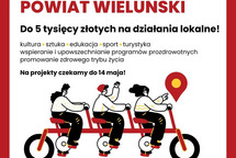 WIELUŃSKIE MIKROGRANTY 2025