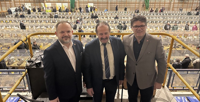 XXI Ogólnopolska Wystawa Królików Rasowych